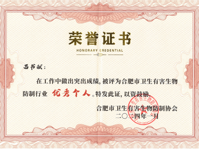 優(yōu)秀個(gè)人